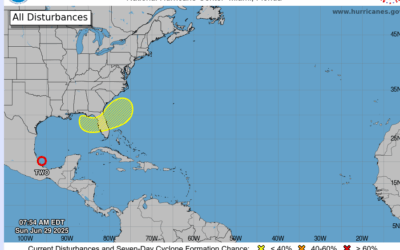 Tropical Depression 2 and NE Gulf (6-29-25)