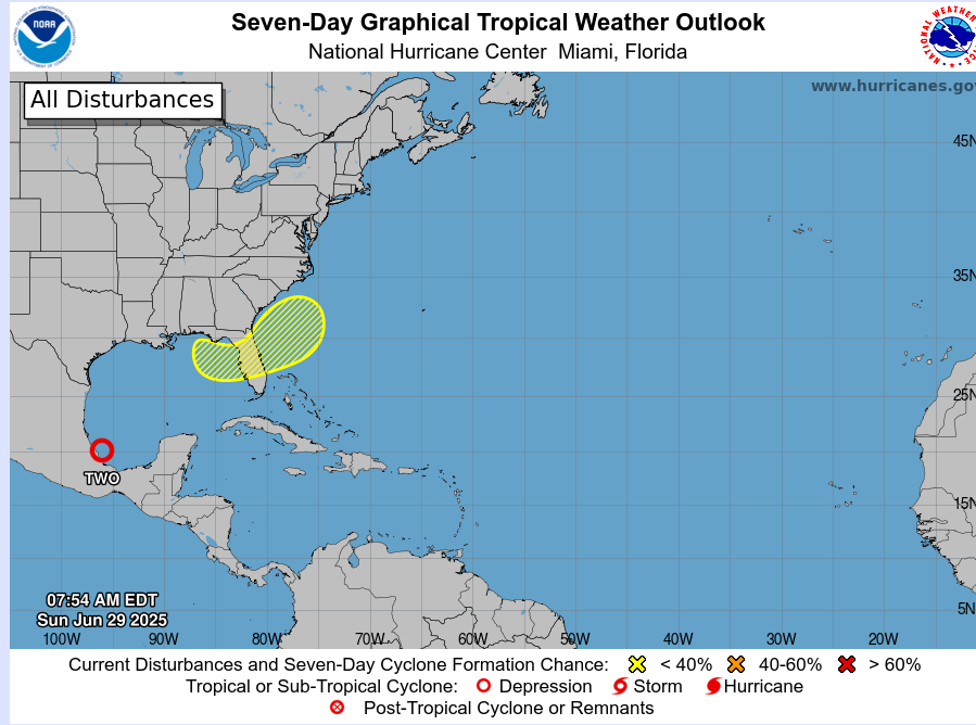 Tropical Depression 2 and NE Gulf (6-29-25)