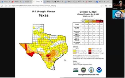 Tropical Weather Briefing – October 12, 2025 🌀